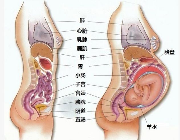 最新资讯 第64页