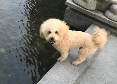 港澳新闻 第41页